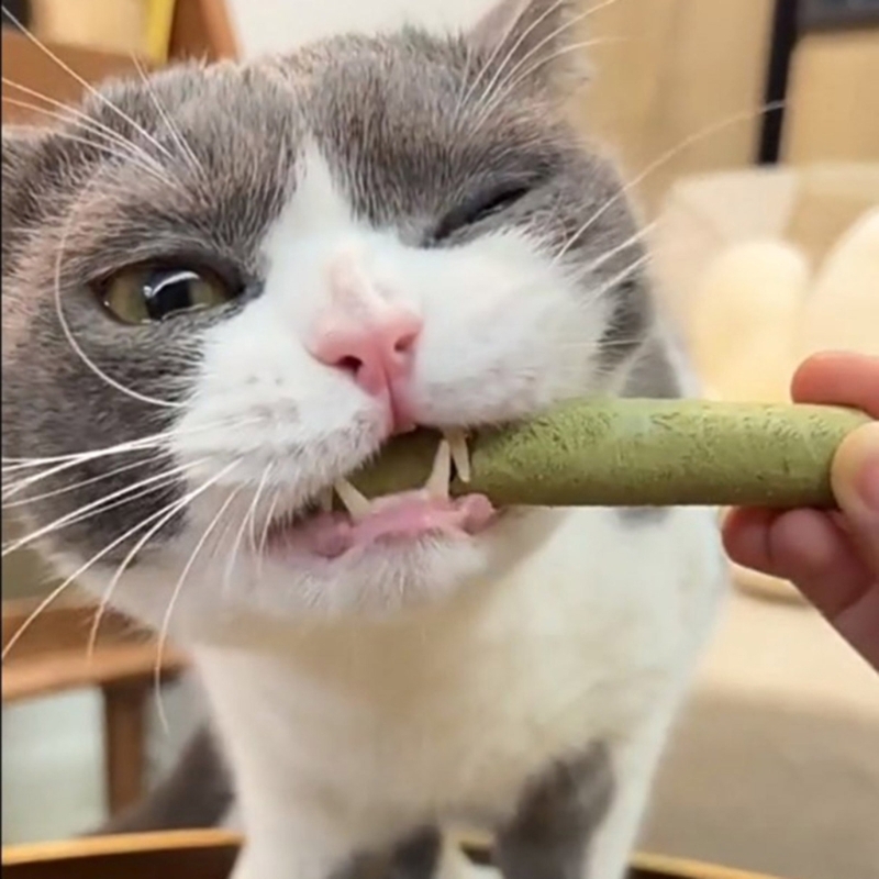Picture of Grass Catmint Molar Rod Dental Care Chewing Snacks Teeth Clean Freeze Dried Snacks Hairballs Control Treat