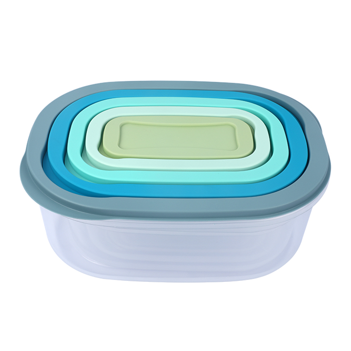 Buy 5-Piece Lid & Lid Rtg Container Set - Durable, Space-Saving Storage - UAE at Best Price In Bangladesh