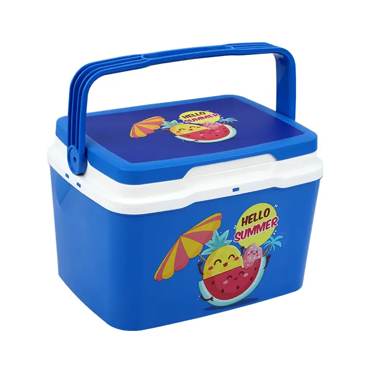 Buy Thermal Ice Box Multicolor-5 Lat Best Price in Bangladesh
