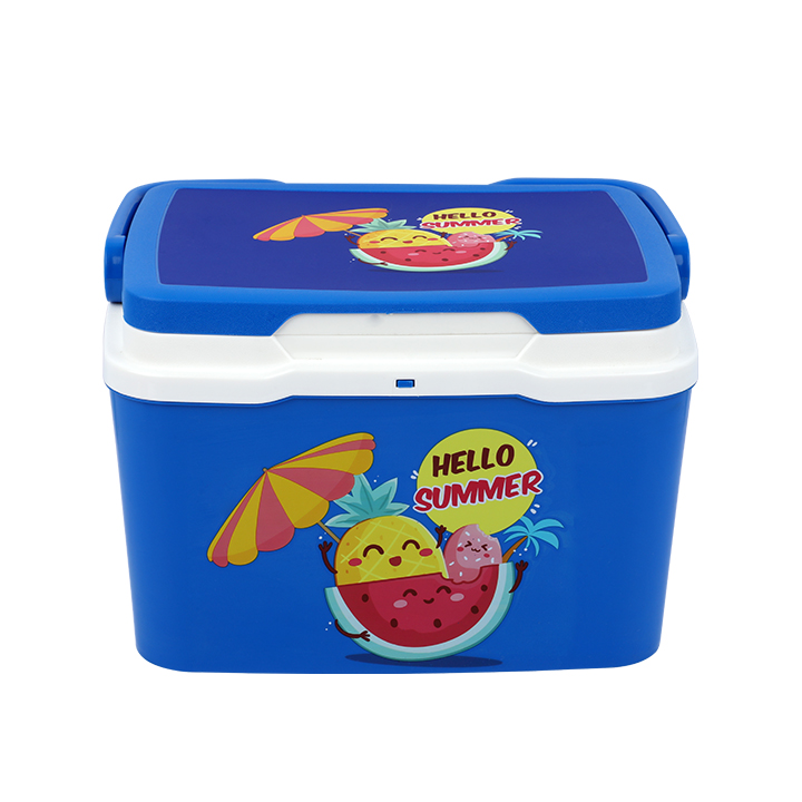 Buy Thermal Ice Box Multicolor-5 Lat Best Price in Bangladesh