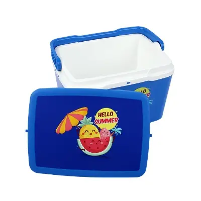 Buy Thermal Ice Box Multicolor-5 Lat Best Price in Bangladesh