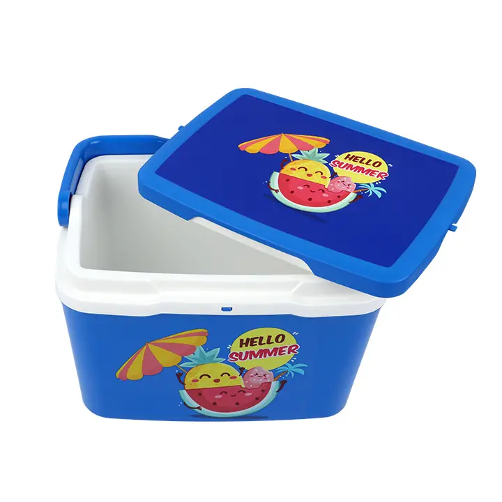 Buy Thermal Ice Box Multicolor-5 Lat Best Price in Bangladesh