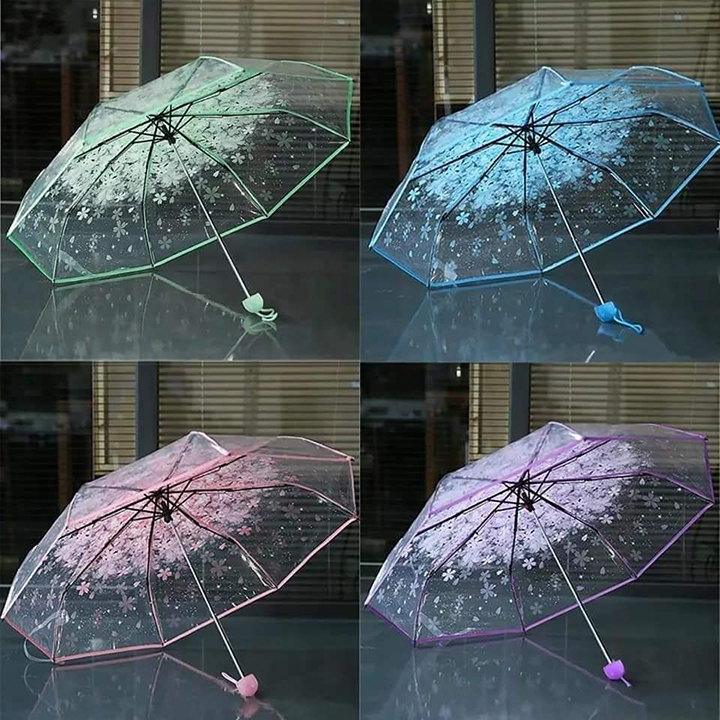 Buy Transparent Umbrella best price in Bangladesh