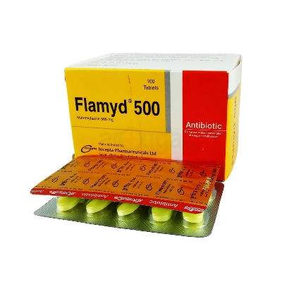 Picture of Flamyd 500mg Tablet