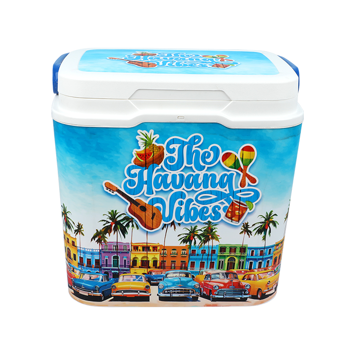 Buy Thermal Ice Box -25 L at Best Price in Bangladesh