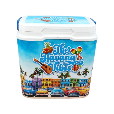 Buy Thermal Ice Box -25 L at Best Price in Bangladesh