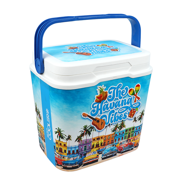 Buy Thermal Ice Box -25 L at Best Price in Bangladesh