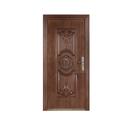 Buy Protector Metal door Royel Design 7 X 3 LH at Best Price In Bangladesh