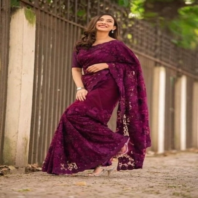 Picture of Indian Craft High Quality Embroidery Stylish Sharee (SS-104)