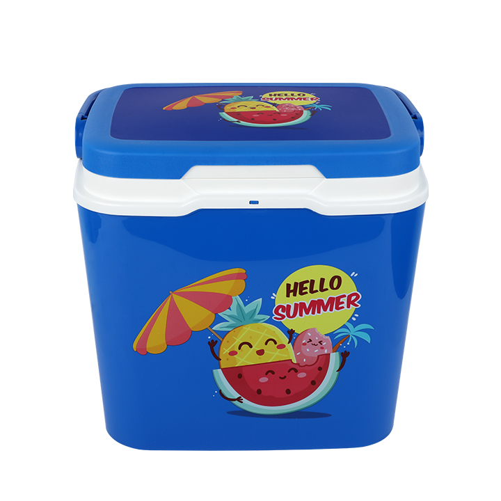 Picture of Thermal Ice Box 15 L Assorted