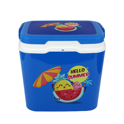 Picture of Thermal Ice Box 15 L Assorted