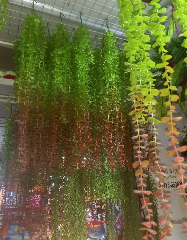 Buy    Artificial Lota or creeper 1 pieces green red mix colour with hanger free unique model for room and wall decorations    at Best Prices in Bangladesh