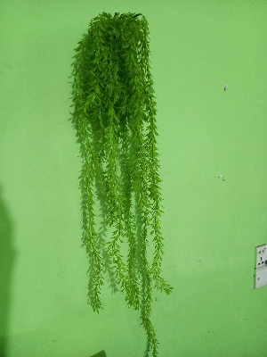 Buy Artifical Green Juri style Creeper Hanging For Room decoration.  at Best Prices in Bangladesh