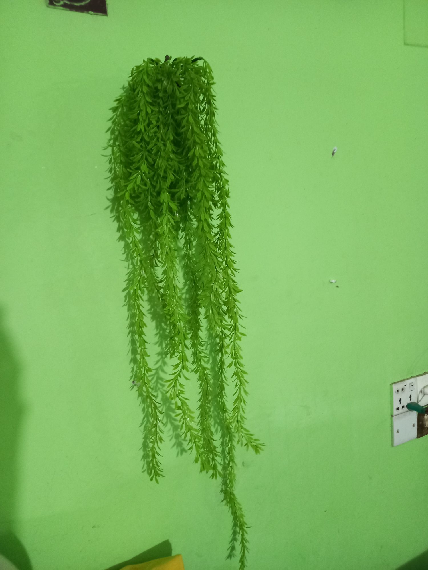 Buy Artifical Green Juri style Creeper Hanging For Room decoration.  at Best Prices in Bangladesh
