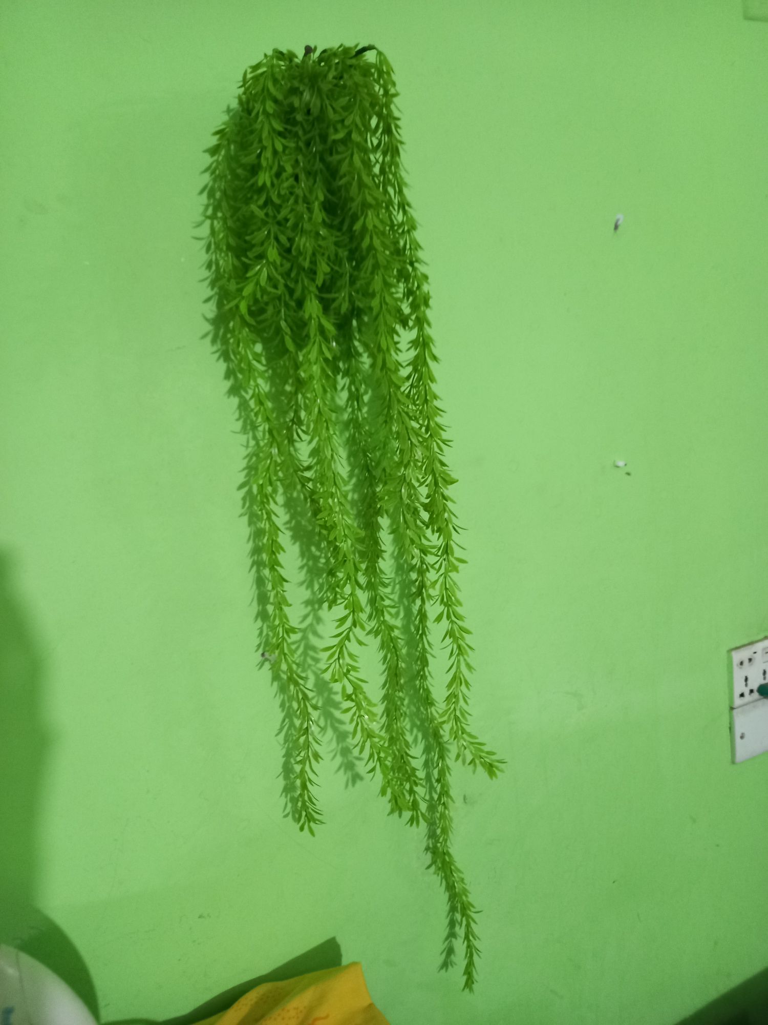 Buy Artifical Green Juri style Creeper Hanging For Room decoration.  at Best Prices in Bangladesh