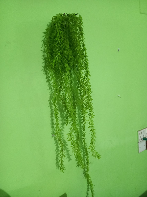Buy Artifical Green Juri style Creeper Hanging For Room decoration.  at Best Prices in Bangladesh
