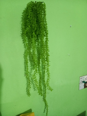 Buy Artifical Green Juri style Creeper Hanging For Room decoration.  at Best Prices in Bangladesh