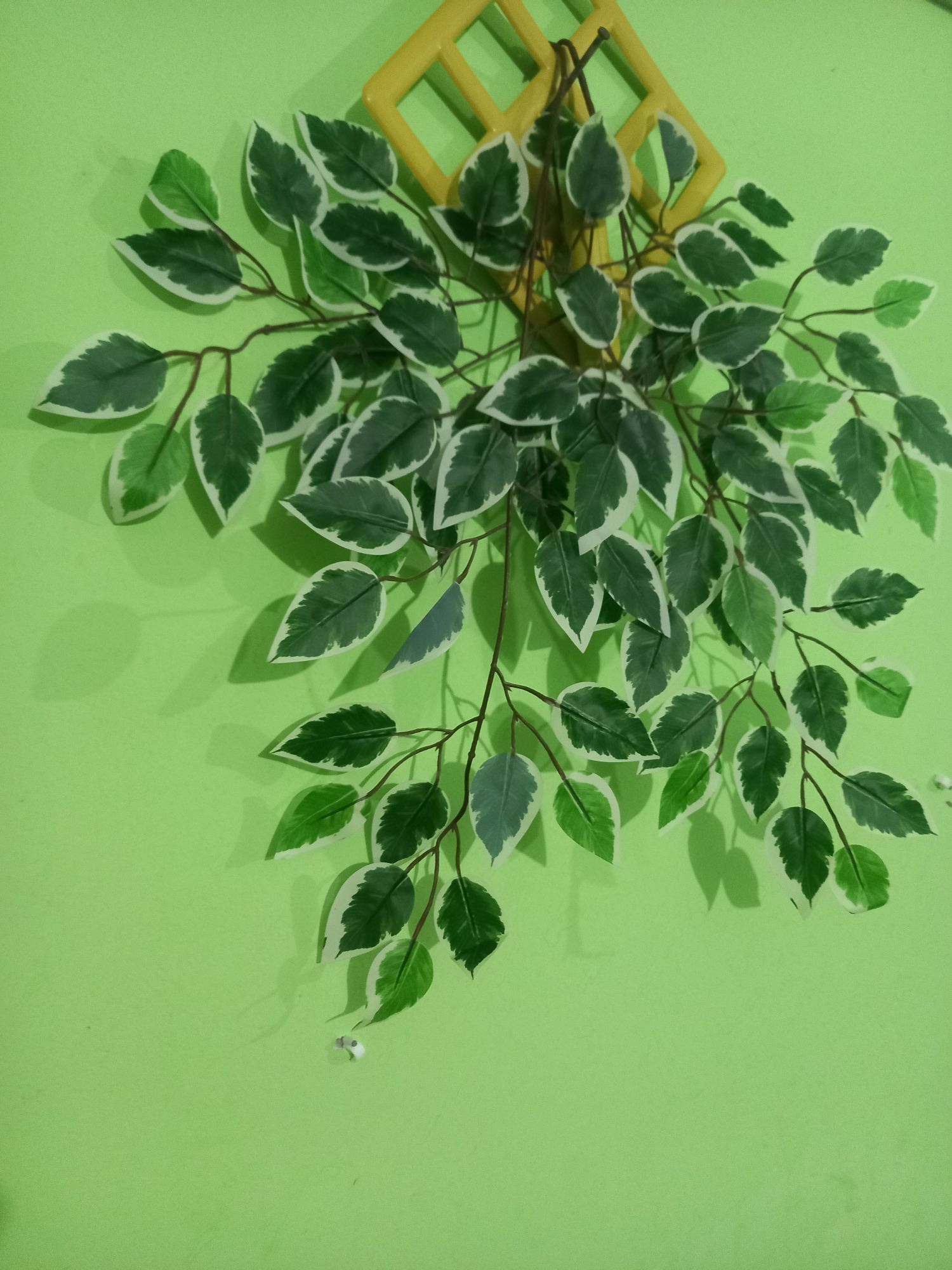 Buy  Artifical Leaf 2 pieces Mix Multicolor Green and White with Hanger Free  at Best Prices in Bangladesh