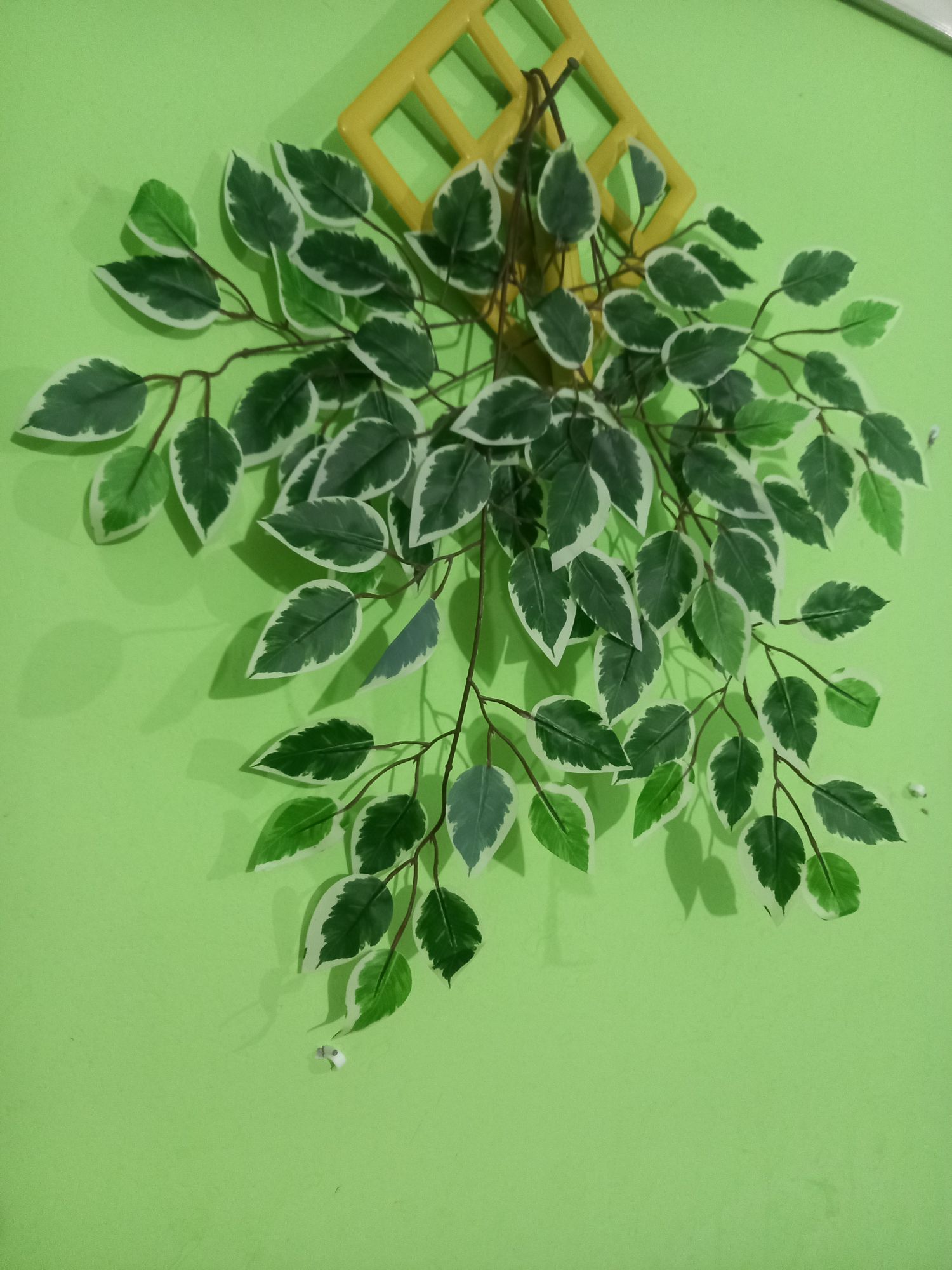 Buy  Artifical Leaf 2 pieces Mix Multicolor Green and White with Hanger Free  at Best Prices in Bangladesh