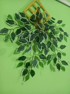 Buy  Artifical Leaf 2 pieces Mix Multicolor Green and White with Hanger Free  at Best Prices in Bangladesh