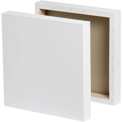 Buy White Premium Canvas 10/12 inch at Best Prices in Bangladesh