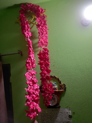 Buy  Artifical Flower 7 Feet long Lota with Hanger Free For Trendy and Unique Decoration  at Best Prices in Bangladesh