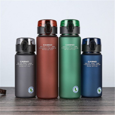 Picture of Outdoor Tour Summer vacation Water Bottle 560ml