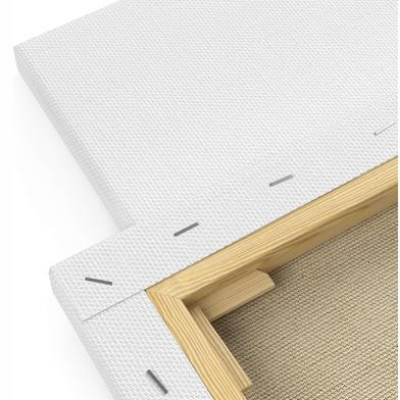 Buy Canvas for Painting 8/12 at Best Prices in Bangladesh