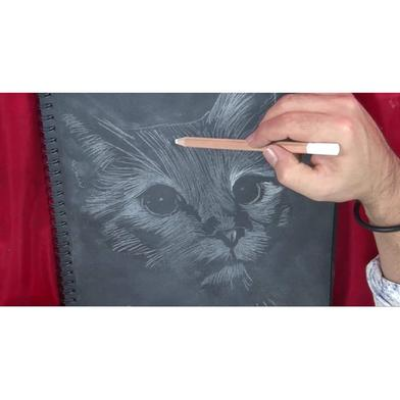 Buy White Charcoal Pencil Set of 2 pencils White Charcoal at Best Prices in Bangladesh