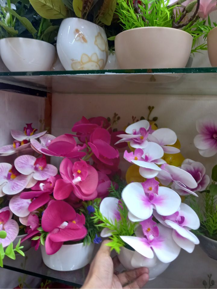 Buy Atrificial Flower in Unique Orchid with top for room decoration  at Best Prices in Bangladesh