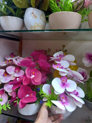 Buy Atrificial Flower in Unique Orchid with top for room decoration  at Best Prices in Bangladesh