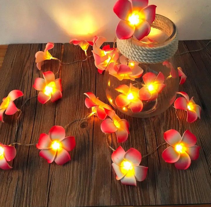 Buy Decorative katgolap String/ Fairy lights unique model for room decoration at Best Prices in Bangladesh