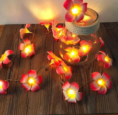 Buy Decorative katgolap String/ Fairy lights unique model for room decoration at Best Prices in Bangladesh