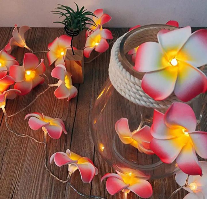 Buy Decorative katgolap String/ Fairy lights unique model for room decoration at Best Prices in Bangladesh