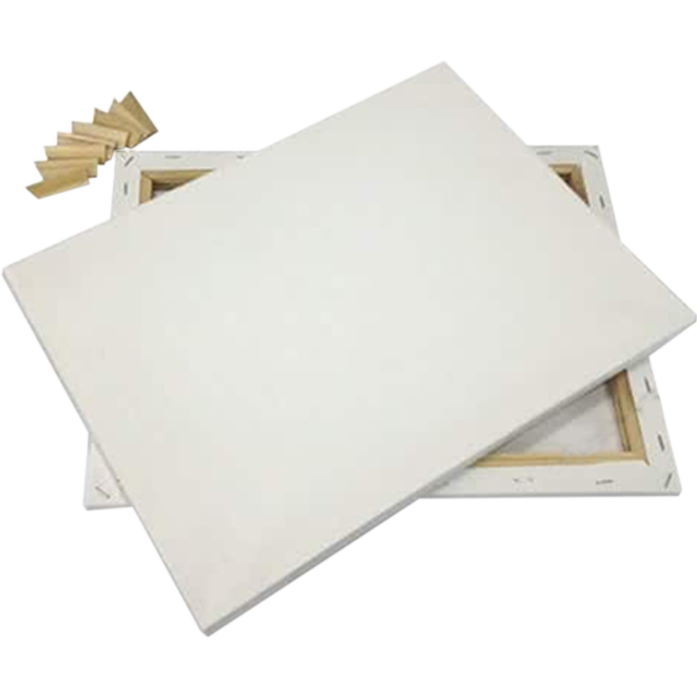 Buy white-canvas-12x16-inch-1pcs at Best Prices in Bangladesh
