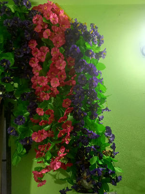 Buy  Artifical Plant Plastic 1 pisces Unique Hanging Flower For Home Decor  at Best Prices in Bangladesh