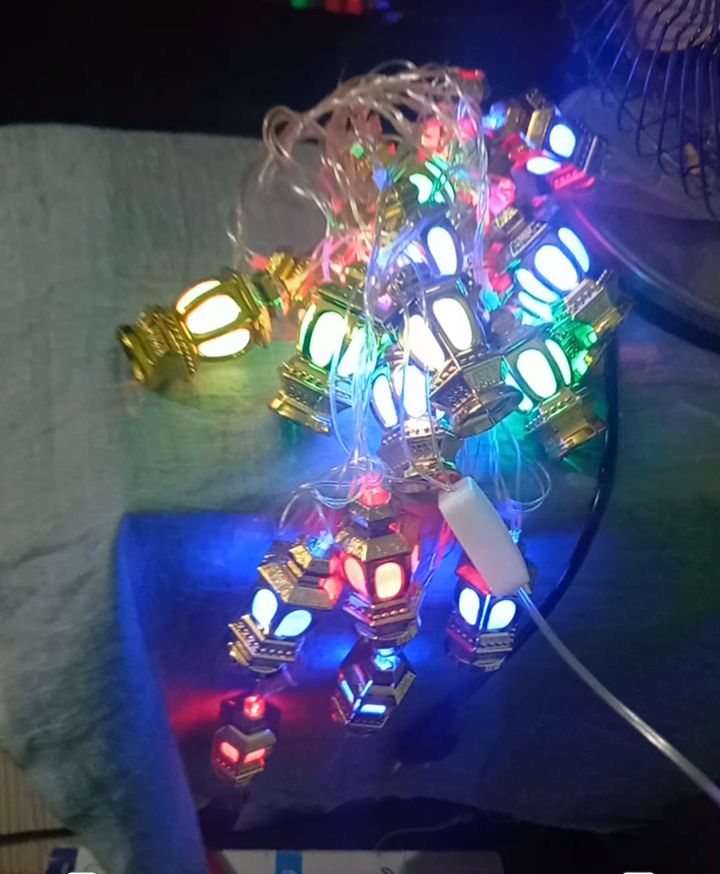 Buy  Home decorative Hariken Jarbati wholesale price Because we imports light from direct China. rice Because we can import this light from direct China at Best Prices in Bangladesh