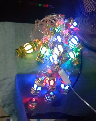 Buy  Home decorative Hariken Jarbati wholesale price Because we imports light from direct China. rice Because we can import this light from direct China at Best Prices in Bangladesh