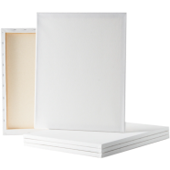 Buy white-canvas-12x14-inch-1pcs at Best Prices in Bangladesh