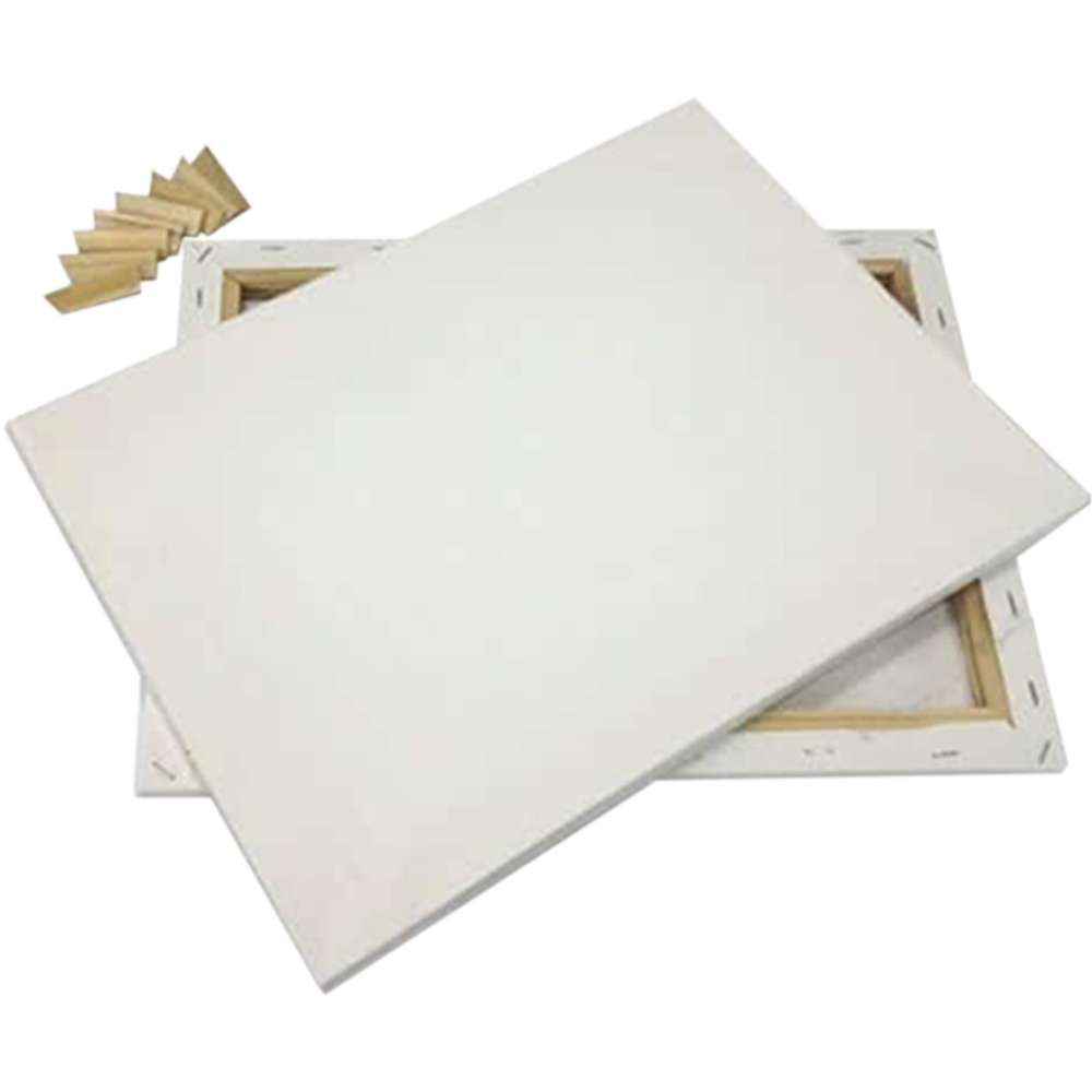 Buy white-canvas-12x14-inch-1pcs at Best Prices in Bangladesh