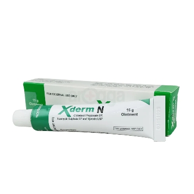 Picture of Xderm N 15gm Oint.