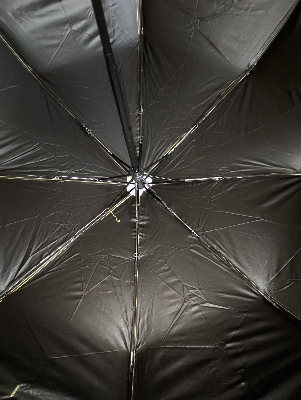 Picture of BMW Umbrella 8 rib auto open & close compact print