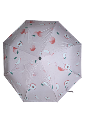 Picture of BMW Umbrella 8 rib auto open & close compact print