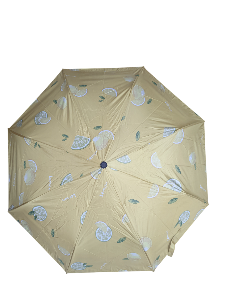 Picture of BMW Umbrella 8 rib auto open & close compact print