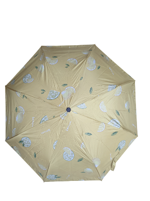 Picture of BMW Umbrella 8 rib auto open & close compact print