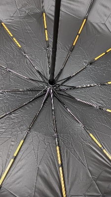 Picture of BMW Umbrella 12 rib auto open & auto close