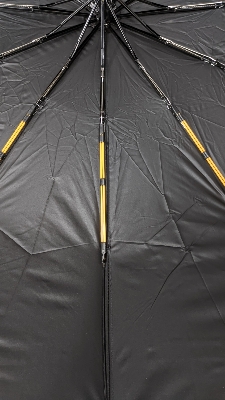 Picture of BMW Umbrella 12 rib auto open & auto close