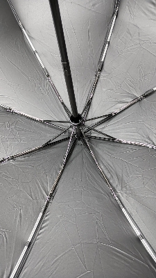 Picture of BMW Umbrella 8 rib auto open & close