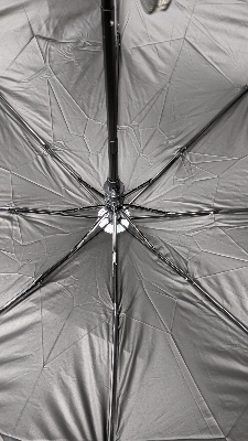 Picture of BMW Umbrella 8 rib auto open ( Sankar)