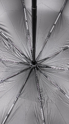 Picture of BMW Umbrella 10 rib auto open & auto close